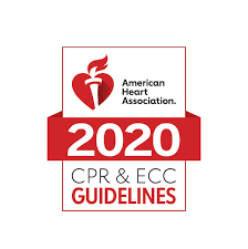 Logo of the American Heart Association featuring a heart and torch with the text '2020 CPR & ECC Guidelines'.
