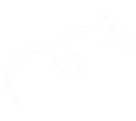 A white curved arrow design with a spiral element, indicating direction or movement.